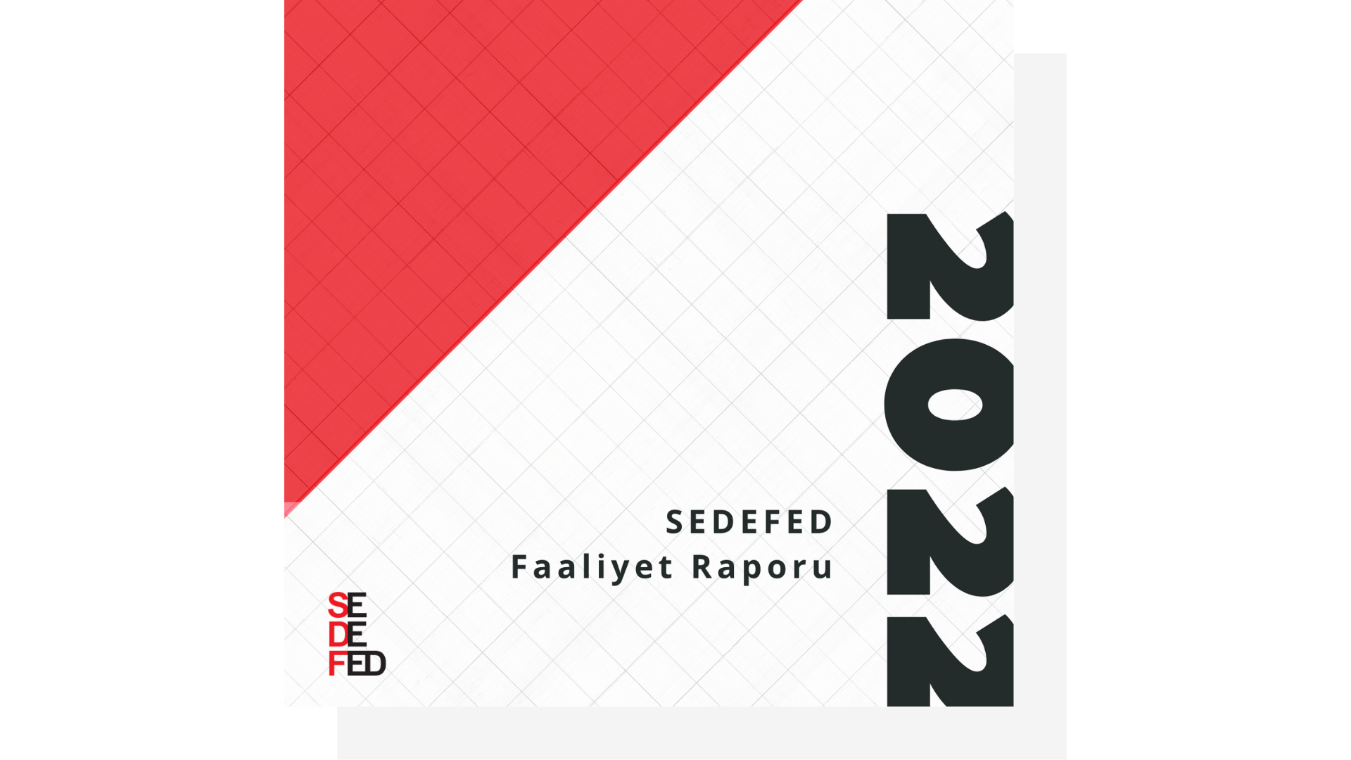 SEDEFED 2022 Faaliyet Raporu Yayınlandı